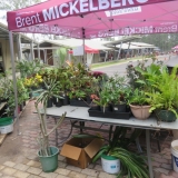 Open-Day-19-10